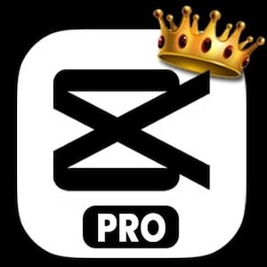 Capcut Pro Account with a Subcription PRO 3 MONTH full access all devices Phone and PC