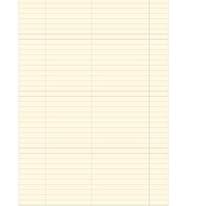 K&ouml;nnte beinhalten: Ein rechteckiges Blatt cremefarbenes Papier mit einem Rasterlayout aus horizontalen Linien und vertikalen Spalten. Das Design umfasst einen breiten linken Bereich und einen schmaleren rechten Bereich f&uuml;r eine strukturierte Schrift.