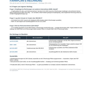 E-Invoice Preparation Kit | Roadmap 2026–2028 & Incoming Invoice Log | For Small Businesses | Instant Download image 3