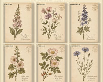 Vintage Medicinal Herb Prints Set of 6, Apothecary Botanical Wall Art, Printable Herbal Decor, Digital Download