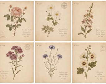 Vintage English Garden Botanical Prints Set of 6, Antique Flower Wall Art, Cottagecore Floral Prints, Victorian Botanical Decor