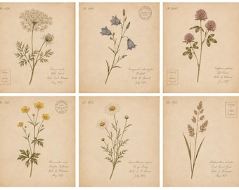 Vintage Botanical Print Set of 6, Antique Wildflower Wall Art, Cottagecore Herbarium Prints, Victorian Botanical Decor, Printable Floral Art
