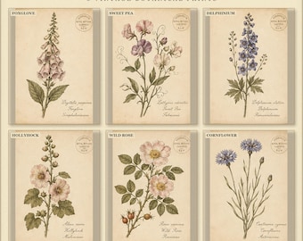 English Cottage Garden Prints Set of 6, Vintage Botanical Flower Wall Art, Printable Floral Decor, Digital Download