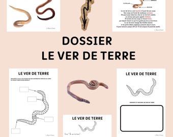 Preschool activity sheets / earthworm / PDF booklet / ages 3-6 / Moscaïa's class