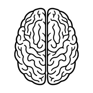 Peut inclure: Une illustration en noir et blanc au trait représentant un cerveau humain vu de dessus. Le dessin présente un design symétrique avec deux hémisphères distincts séparés par une ligne verticale centrale, montrant les sillons et circonvolutions.