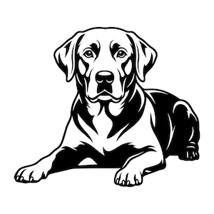 May include: A high-contrast black and white graphic illustration of a Labrador Retriever dog in a lying position. The design features bold lines and solid black shading to define the dog's facial features, floppy ears, and body posture.