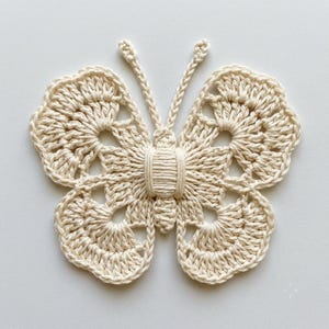 May include: A cream-colored crochet butterfly applique featuring intricate openwork wing patterns and a central body wrapped in thick yarn. The design includes two slender, braided antennae extending upward from the top of the butterfly's head.