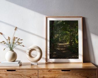 Scenic Vibrant Forest Trail, Printable Digital Photograph