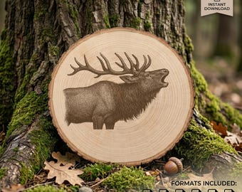 Skogsdjur SVG-paket, Älg, Björn, Varg, Hjort (20 detaljerade designer)