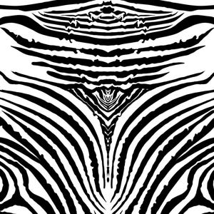 Könnte beinhalten: Ein kontrastreiches grafisches Muster mit einer symmetrischen Anordnung von schwarzen und weißen Zebrastreifen. Das Design zeigt horizontale Streifen im oberen Bereich, die in geschwungene, vertikale Linien nach unten übergehen und einen Spiegeleffekt erzeugen.