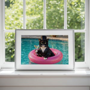 Puede incluir: Un gato blanco y negro con una chaqueta de esmoquin negra y un sombrero de copa negro, flotando en un anillo de piscina inflable de color rosa brillante mientras sostiene una copa de martini con una aceituna en una piscina de agua azul.