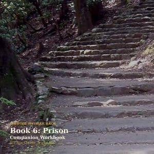 Könnte beinhalten: Ein Buchcover mit dem Titel Finding My Way Back Book 6: Prison Companion Workbook It's Not On Me, It's In Me, das ein Foto von Steinstufen zeigt, die durch ein Waldgebiet mit dunklen Bäumen und Laub an den Seiten des Weges nach oben führen.