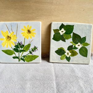 Set di 2 piastrelle in ceramica con fiori pressati di Salt Marsh Pottery - Girasole selvatico, Corniolo, Cornus canadensis, South Dartmouth MA, decorazione murale botanica