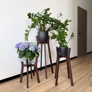 May include: Three dark brown wooden plant stands of varying heights, each featuring four legs and a cross-brace design. The stands hold two green ZZ plants in dark grey textured pots and one potted hydrangea with light purple and blue flowers.
