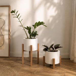 Peut inclure: Deux jardinières cylindriques blanches à la finition lisse, chacune soutenue par un support en bois clair à quatre pieds. La jardinière la plus haute contient une plante Zamioculcas verte, tandis que la plus courte contient une plante aux feuilles sombres.