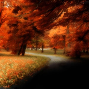 Title:Fall Again-Autumn Fine art, home and office, Forest in the fall