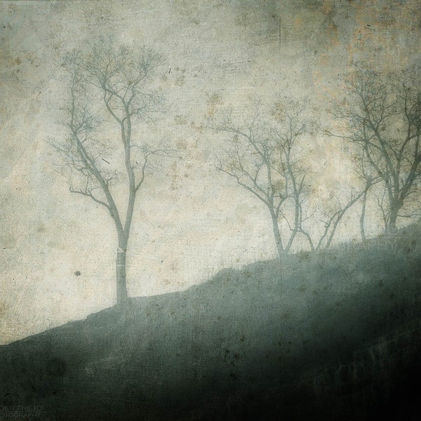 Titel:Illusion-Fine Art photography-Philadelphia
