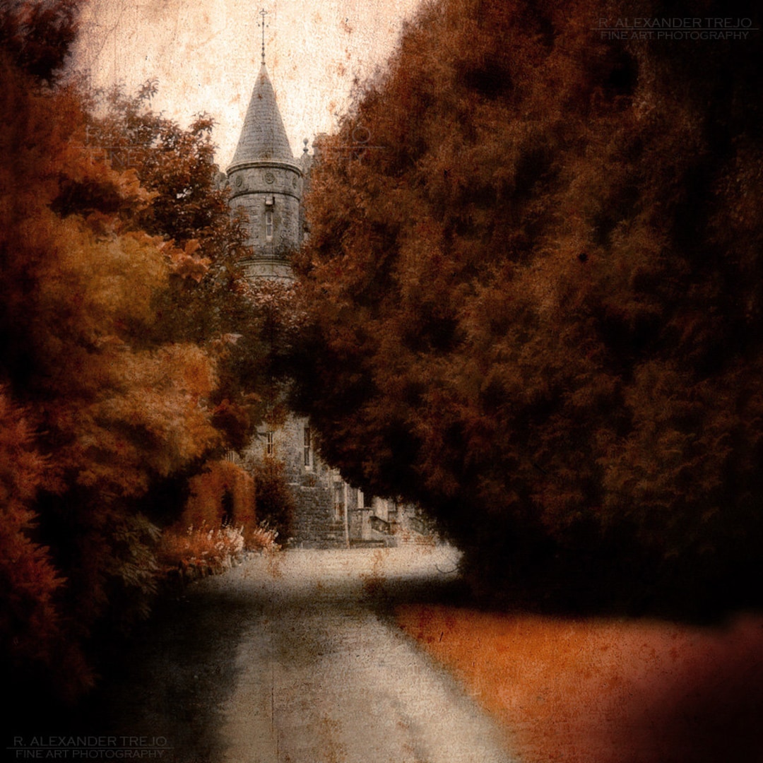 Titlethe Baron of Kensingtonfine Art Photographyireland Etsy