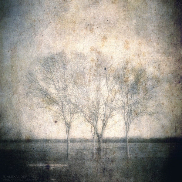 Titel:Rustica-Fine art, Penn Treaty Park, Philadelphia