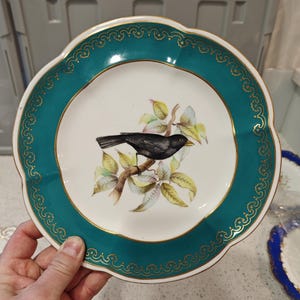 May include: A round ceramic plate with a scalloped edge featuring a wide teal border decorated with a gold filigree pattern. The center of the white plate displays a detailed illustration of a black bird perched on a brown branch with green leaves.