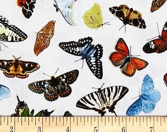 Butterflies & Moths, Cream, by Carl Brenders, for Elizabeth's Studio, 44" wide - by the Half Yard