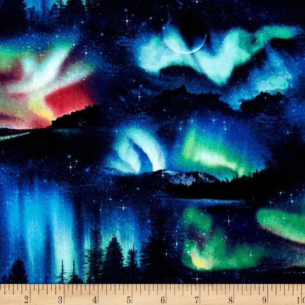 Aurora Borealis, from the Landscape Medley Collection, by Elizabeth's Studio, 22" long x 44" wide - Bolt End