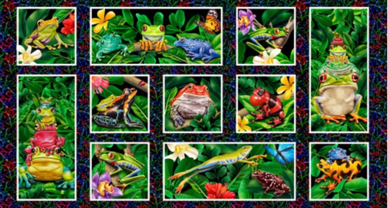 May include: A vibrant, colorful artwork featuring various frog illustrations. The frogs are depicted in different colors and poses, surrounded by lush green foliage, flowers, and butterflies. The artwork is framed with a decorative border.