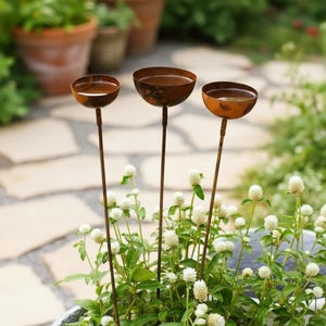 Può includere: Tre picchetti da giardino in metallo con cime circolari a forma di ciotola caratterizzate da una finitura marrone arrugginita e usurata. Ogni picchetto ha uno stelo sottile e dritto che sostiene il bacino pieno d'acqua tra piante verdi con fiori bianchi.