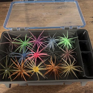 May include: A rectangular gray plastic tackle box with a clear hinged lid containing an assortment of multi-colored, star-shaped silicone fishing lures. The lures feature thin, flexible tentacles in shades of green, pink, blue, brown, and yellow.