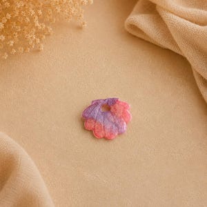 MEDAGLIA DI IDENTIFICAZIONE DELLA CONCHIGLIE
