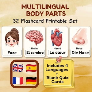 May include: A 32-piece printable flashcard set titled Multilingual Body Parts. The cards feature illustrations of a face, brain, heart, and nose with labels in English, Spanish, French, and German. A yellow note indicates it includes 4 languages and blank quiz cards, with icons of the British, Spanish, French, and German flags displayed.