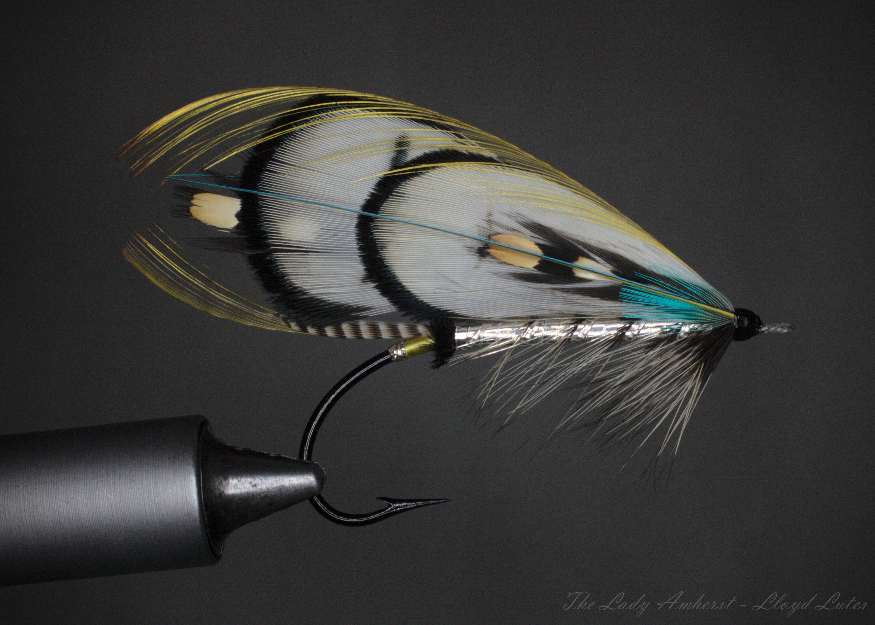 Classic Salmon Fly - the Lady Amherst - Etsy