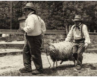 Framed Fine Art Giclée Print: "Shear Audacity"