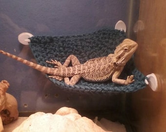 Bearded dragon hammocks