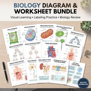May include: A biology diagram and worksheet bundle featuring educational illustrations of plant and animal cells, human heart anatomy, digestive systems, neuron structure, kidney nephron function, cell membrane structure, and cell theory reference pages.