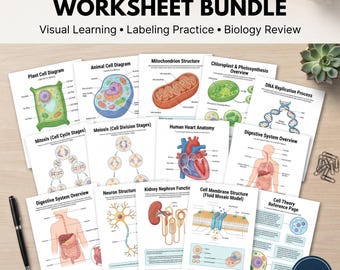 Biology Diagram Worksheets  Reference Bundle | Cell Biology & Human Body Systems | Labeling Practice  Answer keys