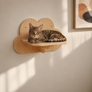 Cloud Cat-wandplanken voor klimmende en rustende binnenkatten