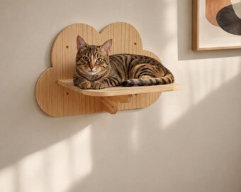 Cloud Cat Wall Shelves for Climbing and Resting Indoor Cats