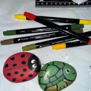 May include: A collection of dual-tip water-based markers in black, red, yellow, green, and brown, positioned near a ruler showing measurements in centimeters. Below the markers are two painted rocks, one featuring a red ladybug and one a green turtle.