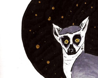 Long-Tailed Lemur Illustration