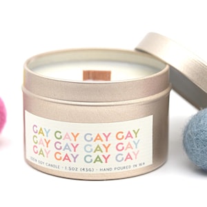 LGBTQ+ Candle • Mini Tin Candle  • Queer Gifts • Adorable Snarky Pride Candles • LGBTQ+ Support Gift • Say Gay Gifts