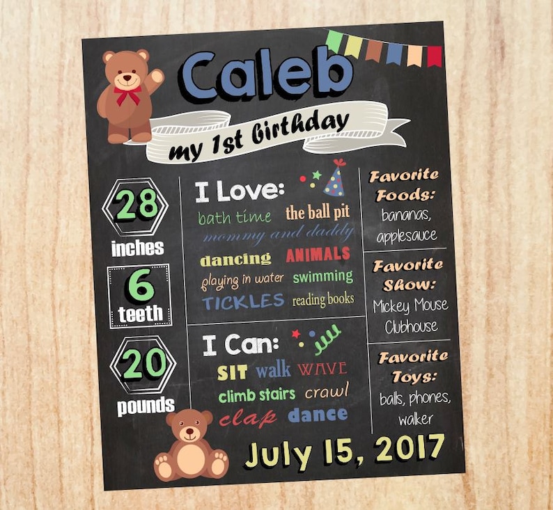 teddy bear picnic party decorations Teddy Bear Birthday sign teddy bear 1st birthday stats sign teddy bear milestones stats poster