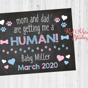 Dog Pregnancy Announcement Sign. DIGITAL FILE. new baby announcement from dog. cat pet poster Getting Me a Human. printable. photo prop