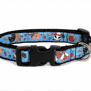 Può includere: Un collare per animali domestici azzurro con un motivo ripetuto di animali del bosco in stile cartoon, tra cui ricci, volpi e procioni, intervallati da fragole e impronte di zampe. Il collare presenta una fibbia in plastica nera e un anello.