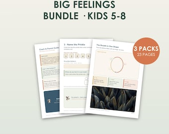 Big Feelings Bundle Kids 5-8, Anger Jealousy Calm Down, 3 CBT Packs