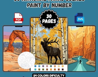 Vintage Paint by Number for Adults, Printable National Parks Pages, Digital Download