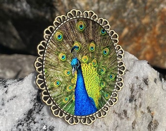 Peacock Bird Brooch Pinback Pin Back Birds Bronze Brass