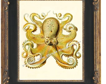 Victorian Octopus Art Print 8 x 10 - Nautical Oceanography Biology Version Three