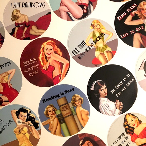 Sassy Funny Pin Up Girl Sticker Sheet - 20 Stickers Pinup Retro Humor Naughty Pulp Fiction Bad Girls Mature