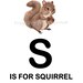 Squirrel Alphabet Art Print 8 X 10 Children's Room Wall Art ...